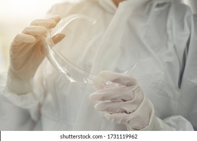 Close Up Of Female Hands With Medical Safety Goggles