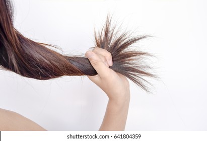 Close Up Female Holding Messy Damaged Dry Hair In Hands.