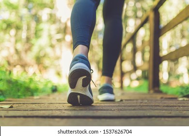 Close up of female legs with running shoes on wooden footpath in woods. Nature and sport healthy lifestyle concept.
