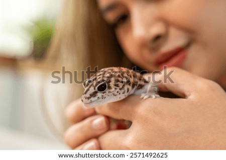 Similar – Foto Bild Eidechse in weiblichen Händen. Schönes Reptil. Exotische tropische Tiere Konzept.