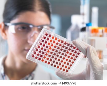 Close up of female scientist examining micro plate blood samples in laboratory