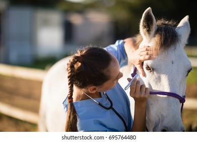 Close up of female vet examining horse eye at barn - Powered by Shutterstock