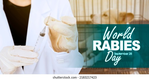 Close Up Of Female Veterinarian Hands Holding An Injection With Sick Dog Background While Standing With World Rabies Day Text In The Clinic