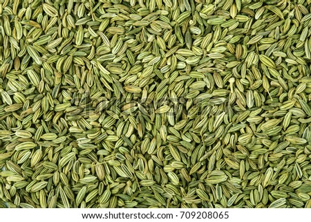 close up fennel seed texture background