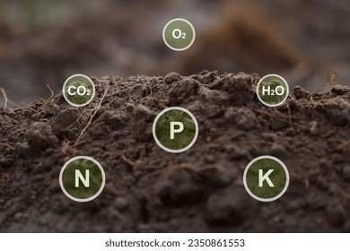 Close up fertile loamy soil for planting on spoon with 16 digital nutrients icon which necessary in plant life, Plant Nutrients, Macronutrients, Micronutrients. Agriculture concept.