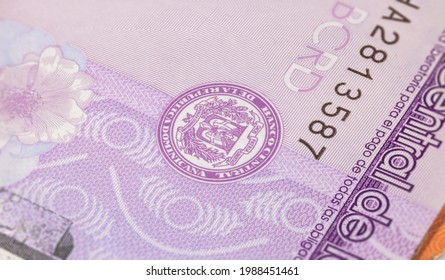 Nahaufnahme von fünfzig Pesos der Dominikanischen Republik. Papierbanknoten des karibischen Landes. Detaillierte Erfassung des Wappens und der Seriennummer. Detaillierte Geldhintergründe