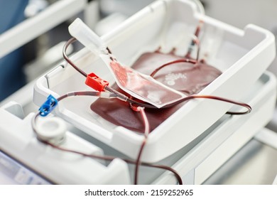 Close Up Of Filled Blood Bags In Tray At Blood Donation Center, Copy Space