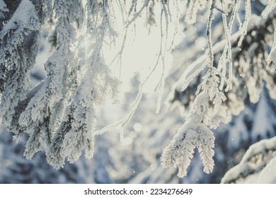 Close up fir branches covered with snow concept photo. Front view photography with snowy winter landscape on background. High quality picture for wallpaper, travel blog, magazine, article - Shutterstock ID 2234276649