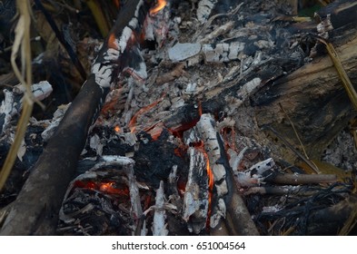 close up fire flame