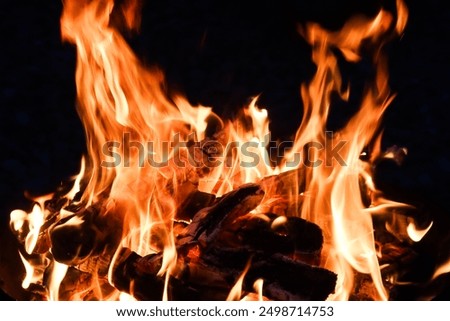 close up of fire flame in a campfire of burning wood charcoal at night in an outdoor area