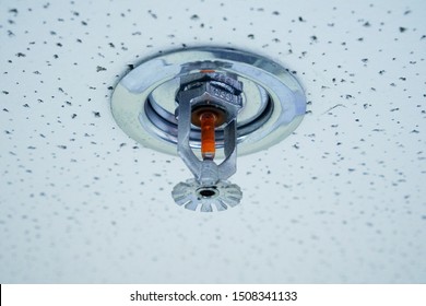 Fire Sprinkler Images Stock Photos Vectors Shutterstock