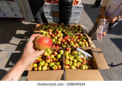 A Close Up And First Person Perspective Of A Man Holding A Ripe Gala Apple At A Farmers Market, With Blurry Apples In The Background And Copy Space