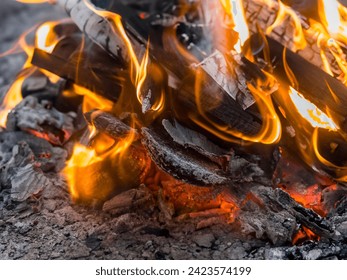 A close up of the a flame wood in bonfire. camp barbecue wood charcoal. wood that burns in the grill. blaze fire flame texture background. Tongues of flame. burning wooden logs and large orange flame
					