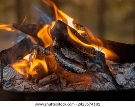 A close up of the a flame wood in bonfire. camp barbecue wood charcoal. wood that burns in the grill. blaze fire flame texture background. Tongues of flame. burning wooden logs and large orange flame
