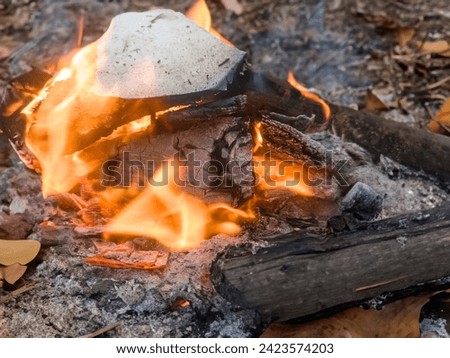 A close up of the a flame wood in bonfire. camp barbecue wood charcoal. wood that burns in the grill. blaze fire flame texture background. Tongues of flame. burning wooden logs and large orange flame
