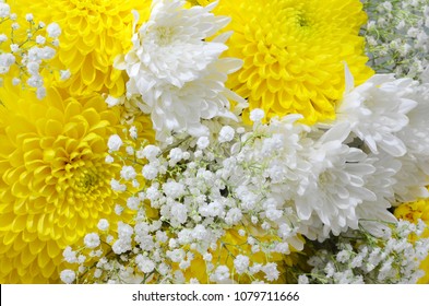 Close up of a flower bouquet filled with white pompom daisies and yellow chrysanthemums with delicate baby's breath added. Useful for celebrations  including weddings, mother's day or birthdays - Powered by Shutterstock