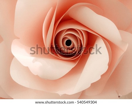 Similar – Image, Stock Photo Macro shot of a rose pink