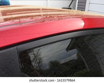 Close Up Flower Pollen Covered On Red Car