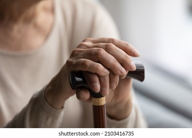 Close up focus on folded wrinkled female hands on wooden cane. Cropped thoughtful elderly senior grandmother having walking disability, using stick indoors, old retired people lifestyle concept.