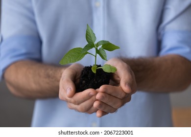 Close up focus on plant in male hands, successful responsible businessman promoting green economy business, sustainable partnership, eco-friendly company growth, bio agriculture development concept.
