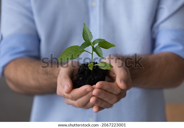 Close up focus on plant in male hands,\
successful responsible businessman promoting green economy\
business, sustainable partnership, eco-friendly company growth, bio\
agriculture development\
concept.