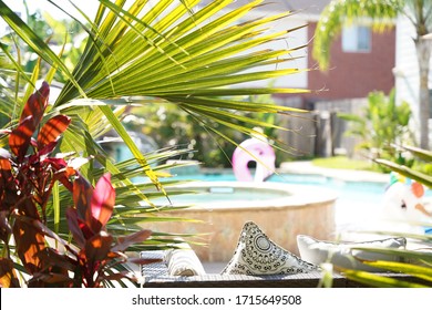 Close Up Focus Shot Of A Tropical Oasis Backyard During The Texas Summer.