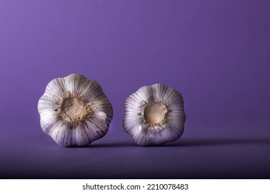 Close Up Food Portrait Of Two Garlic Bulbs Isolated On Purple Background