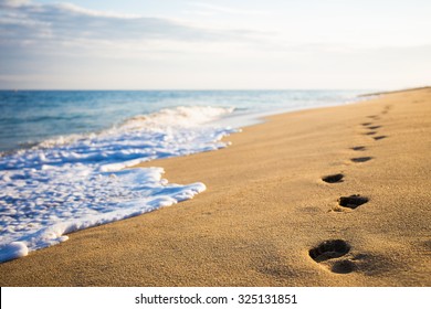 close up of footprints on the beach with golden sand