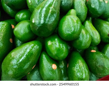 a close up of fresh avocados in the supermarket  - Powered by Shutterstock