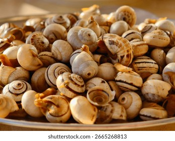 A close up of fresh cooked snails with shells on a silver platter. Ready to eat as a gourmet delicacy.