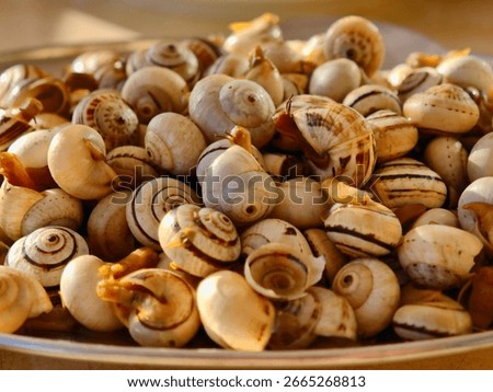 A close up of fresh cooked snails with shells on a silver platter. Ready to eat as a gourmet delicacy.