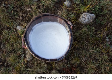 Close Up Of Fresh Foaming Cow And Yak Milk In A Wooden Bucket. Khuvsgol, Mongolia.