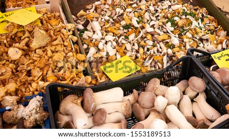 Close up of fresh gourmet mushrooms including Chanterelles at a farmers market in Europe.                             