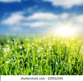 Close Up Of Fresh Morning Dew On Spring Grass With Blue Sky