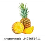 Close up of fresh pineapple fruit and several pieces that look fresh with a white background 