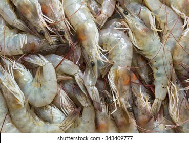 Close Up Fresh Prawn, Fresh Shrimp Seafood Product 