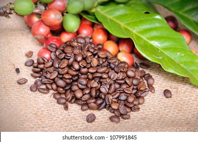 27,761 Coffee farming Images, Stock Photos & Vectors | Shutterstock