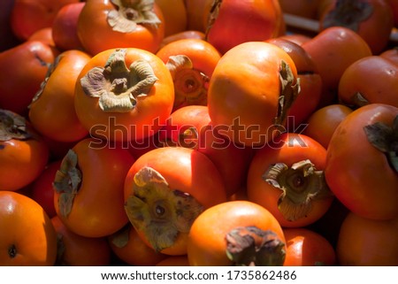 close up Fresh ripe persimmons placed on table in market. Organic persimmon fruit in pile at local farmers market. Persimmons background.