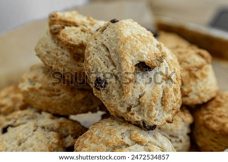 A close up of fresh scones, with a shallow depth of field