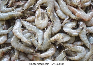 18,058 Gray shrimp Images, Stock Photos & Vectors | Shutterstock