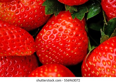 close up of fresh strawberry berry 