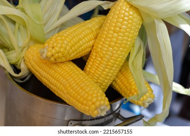 Close Up Of Fresh Yellow Corn Kernels, Grains Of Ripe Corn With Green Husk, Corns Above Pot Ready To Clean And Then Cook, Roast Or Make Any Other Food. Organic Corn From Fresh Harvest Of Farm