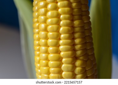 Close Up Of Fresh Yellow Corn Kernels, Grains Of Ripe Corn With Green Husk, Corns Above Pot Ready To Clean And Then Cook, Roast Or Make Any Other Food. Organic Corn From Fresh Harvest Of Farm