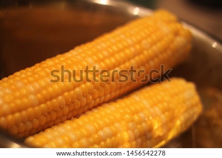 close up of freshly cooked ears of corn 0101
