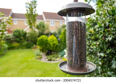 Close Up Of A Freshly Filled Wild Bird Feeder. Showing The Small Black Seeds Which Small Birds Such As Finches And Sparrows Feed On, Used To Attack Birds To A Private Garden.