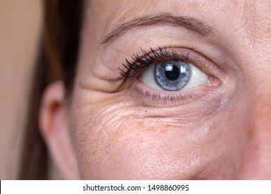 A close up and front view on the blue eye of a mature caucasian woman in her forties, showing heavy wrinkles (crow's feet) in the corner and below the eye, with copy-space.