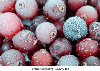 Close up of frosen cranberries