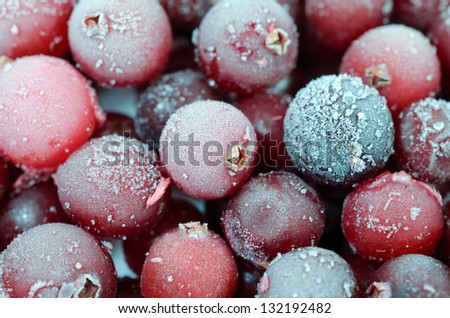 Close up of frosen cranberries