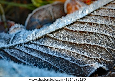 Similar – Foto Bild Der Frost geht weg. Winter