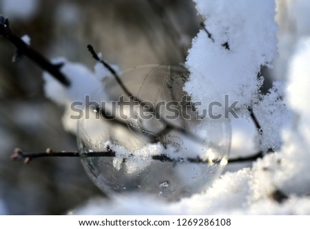 Similar – Foto Bild Spiegeltropfen KFZ Dach